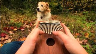 Can't Help Falling In Love on a Kalimba