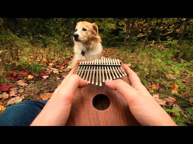 Can't Help Falling In Love on a Kalimba class=