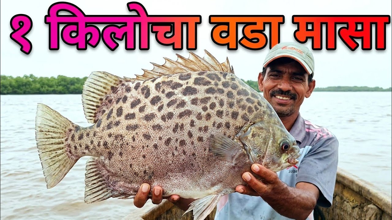 १ किलो चा वडा मासा😱 | 1KG VDA MASA 😱 | TREDITIONAL FISHING | ADITYA PATIL