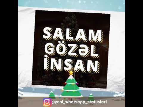 Yeni il tebriki 2019 #Yeni #il #təbriki whatsapp status ucun video