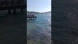 İstanbul Öğretmen Evi