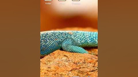 Mpl fruit dart trik and mpl mod 2 game