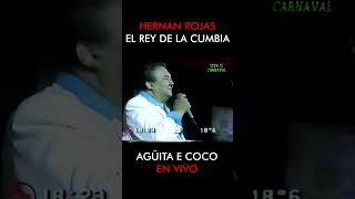 AGÜITA E COCO - Hernán Rojas (EN VIVO)