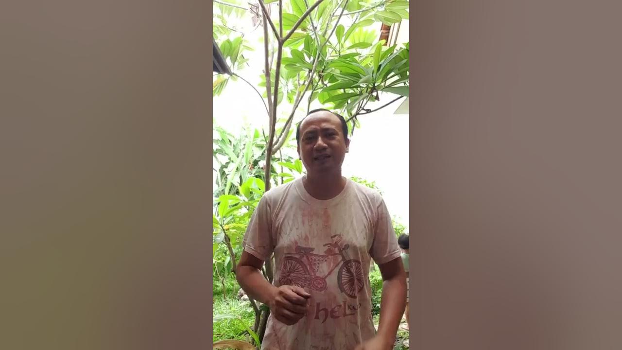 pln-vs-plts-pendapat-pribadi-geees-youtube