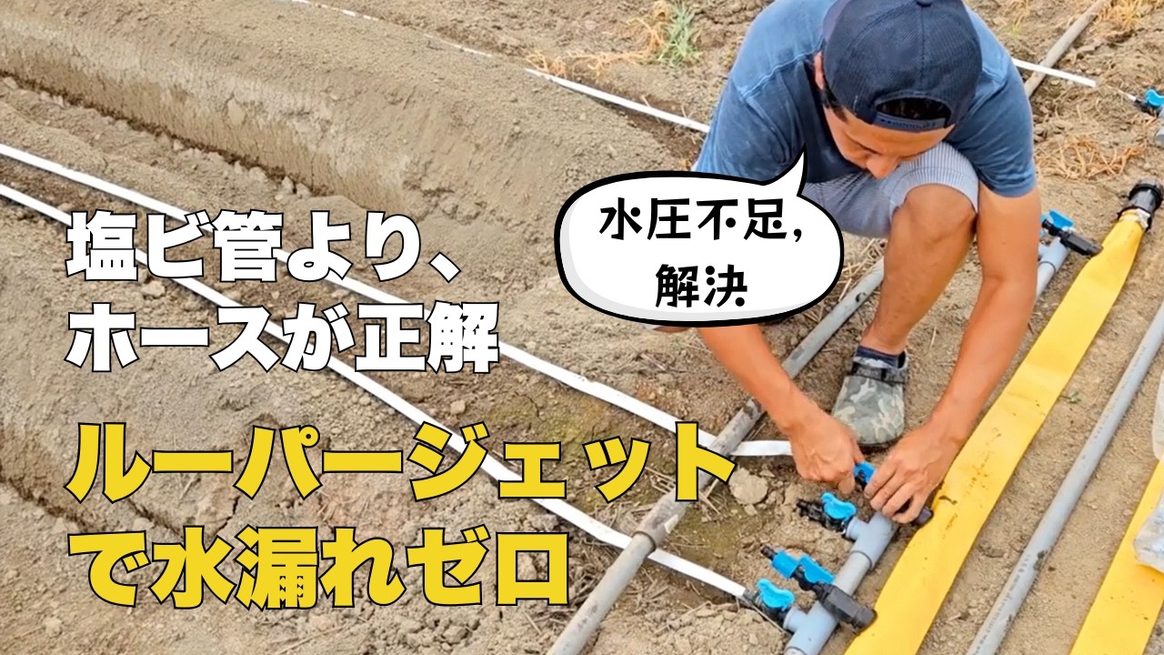 【熊本・イチゴ農園】水圧不足を一発解決！塩ビ管から専用ホースへ張り替え。半日で施工完了した驚きの現場