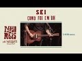 Nando Reis - 09 - Hi Dri - 2013