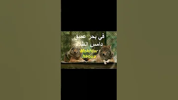 حكم اقوال اقتباسات المختار حواء الحشم معسكر الجزائر مهما حاولت اقناع نفسك ان هناك 