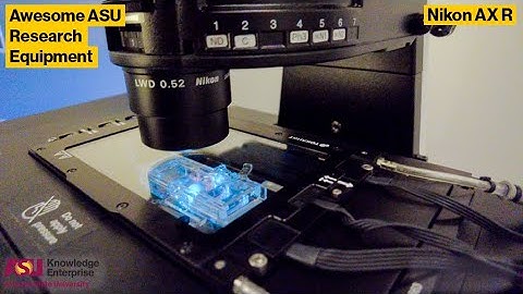 ASU Core Facilities Equipment Showcase: Nikon AX R Laser Scanning Confocal Microscope