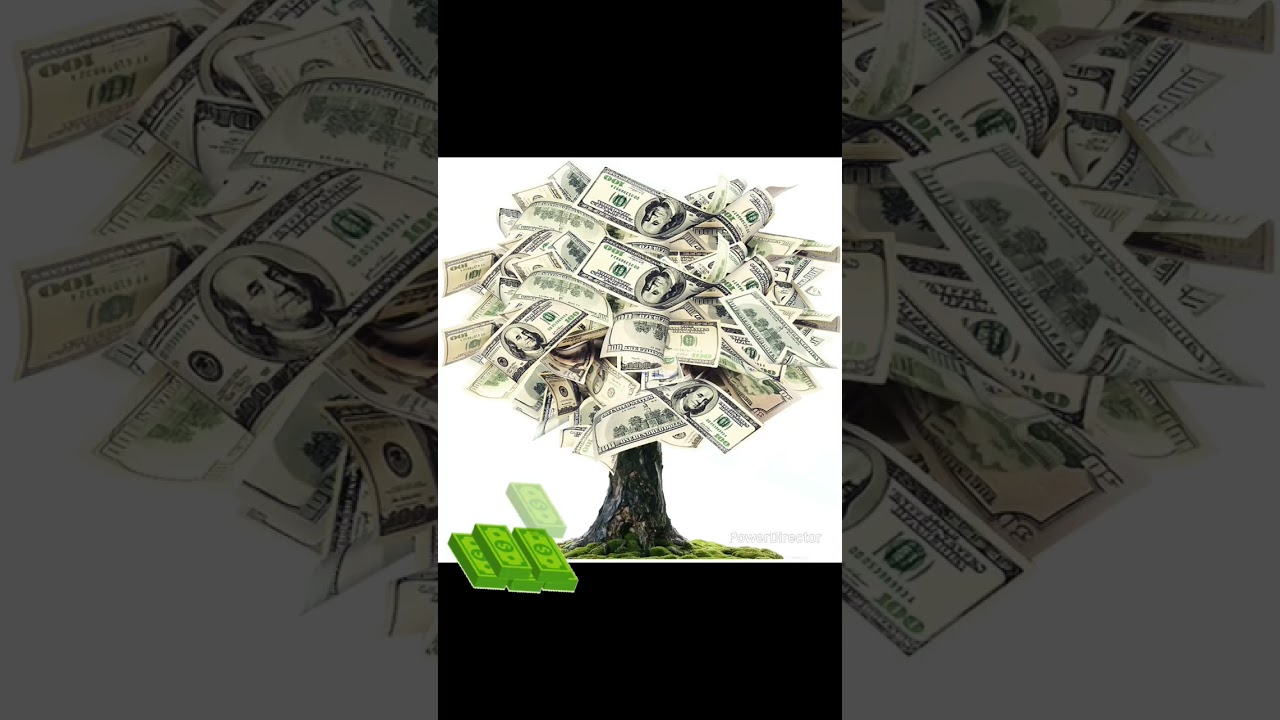 making the money💰-coming soon to all stores 