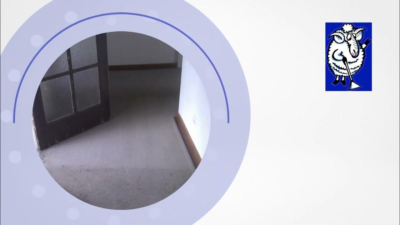 Carpet Cleaning Experts in Lilydale Jumbuck Cleaning & Restoration