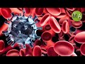 Limpeza de infecções aumenta o sistema imunológico | Eliminar toxinas Frequência da antivírus 2021 ♫