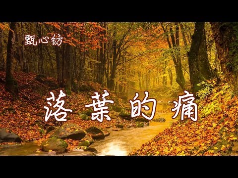 甄心紡