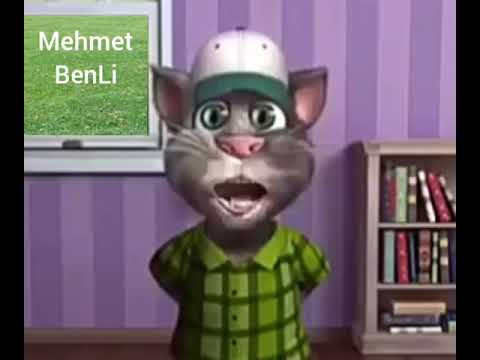 Tom Kedi Bayram Mesajı Hayırlı Bayramlar Mehmet BenLi