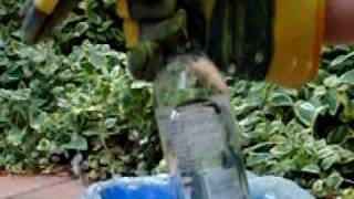 Bottle break trick, 420fps high speed camera.