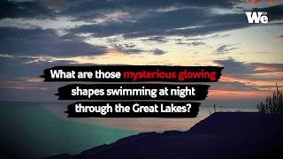 Lake Erie: The Fragile Sea Transformed into an Experimental Water Infrastructure