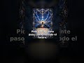 Amor: abrí Arcanum antes de reaccionar