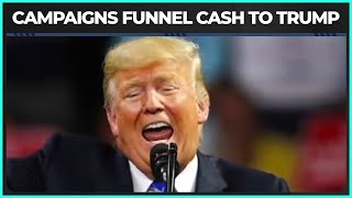 Trump Businesses GOBBLE UP Republican Campaign Cash