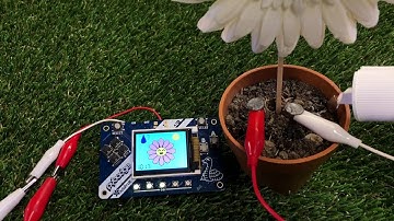 Plantagotchi soil sensor testing