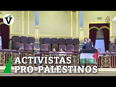 Activistas pro-palestinos interrumpen a Albares en el Congreso