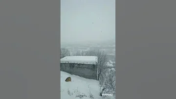 سلامت را نمی خواهند پاسخ گفت اخوان ثالث زمستان 