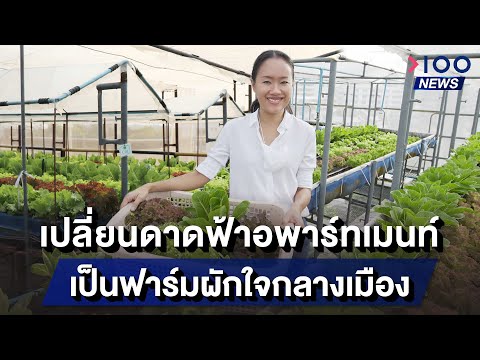 เปลี่ยนดาดฟ้าอพาร์ทเมนท์ เป็นฟาร์มผักใจกลางเมือง  | 100NEWS