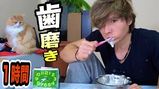 １時間歯磨きすればピカピカだよ!! 【閲覧注意】　PDS