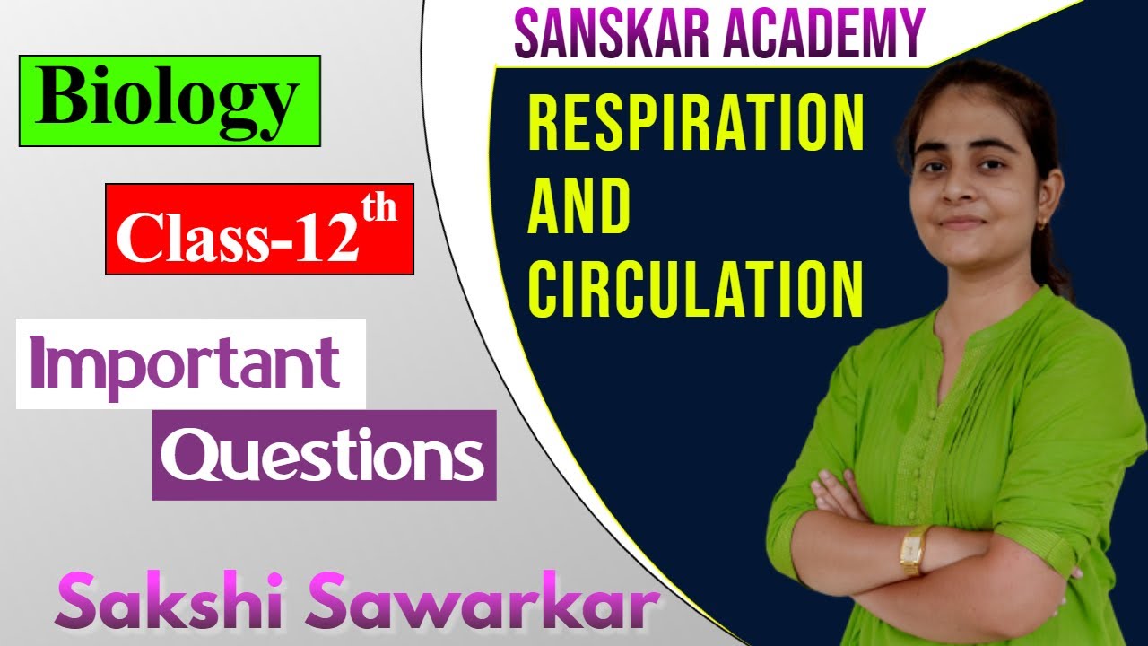 Class 12 Respiration and Circulation Important Questions Biology