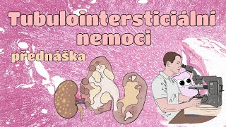 Patologie - Tubulointersticiální nemoci (CZ)