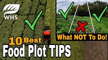 10 Critical Food Plot Planting Tips