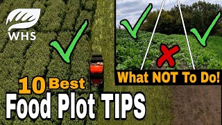 10 Critical Food Plot Planting Tips