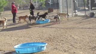 91688 video B 5 11 2025  RAVEN 91688 in playgroup