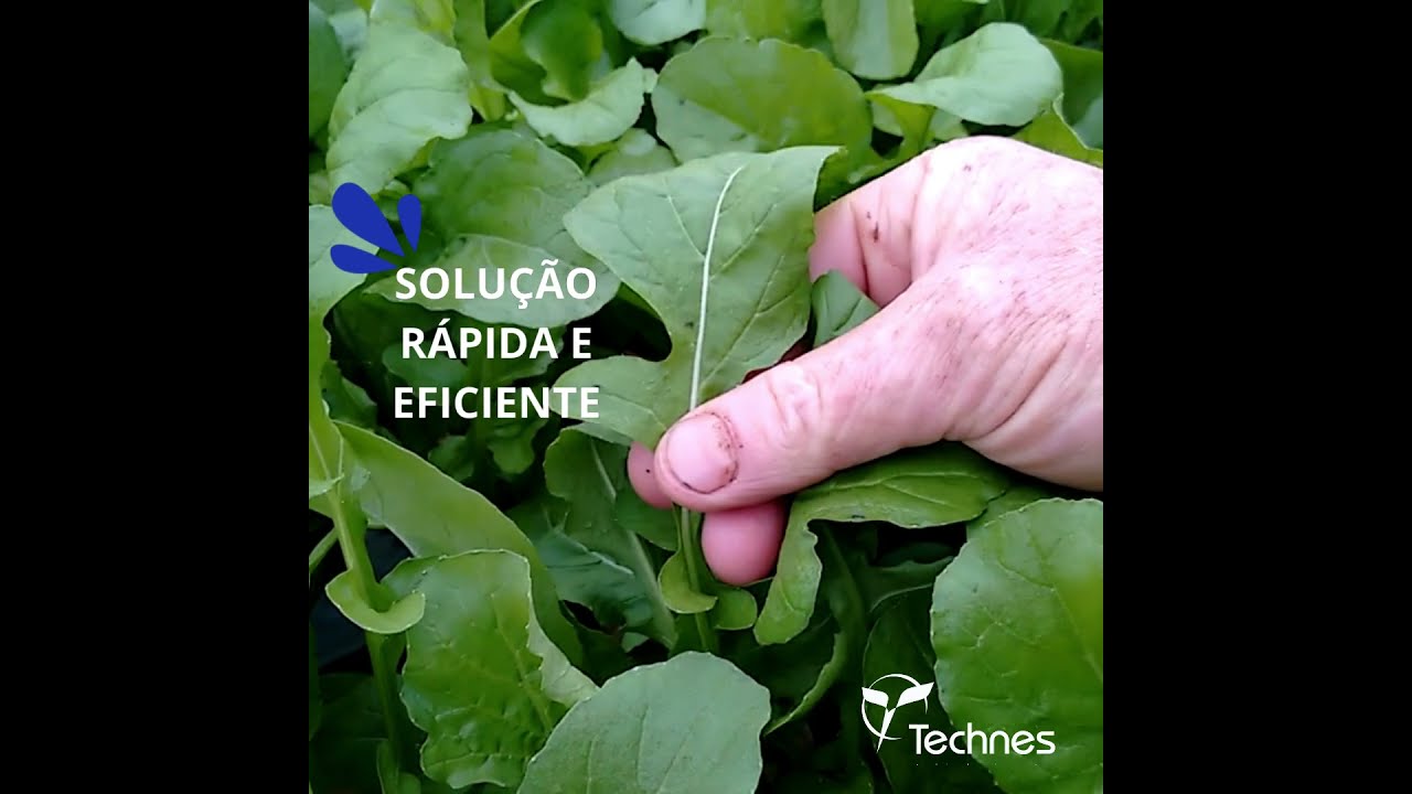 Botanix Terpex - Soluções direto do Produtor