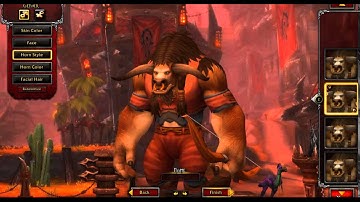 Beginners Guide World Of Warcraft / Create a Character