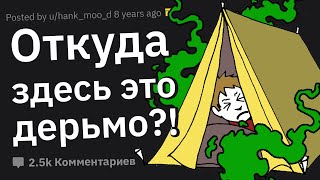 Какая Ваша Месть Нанесла Наибольший Урон?