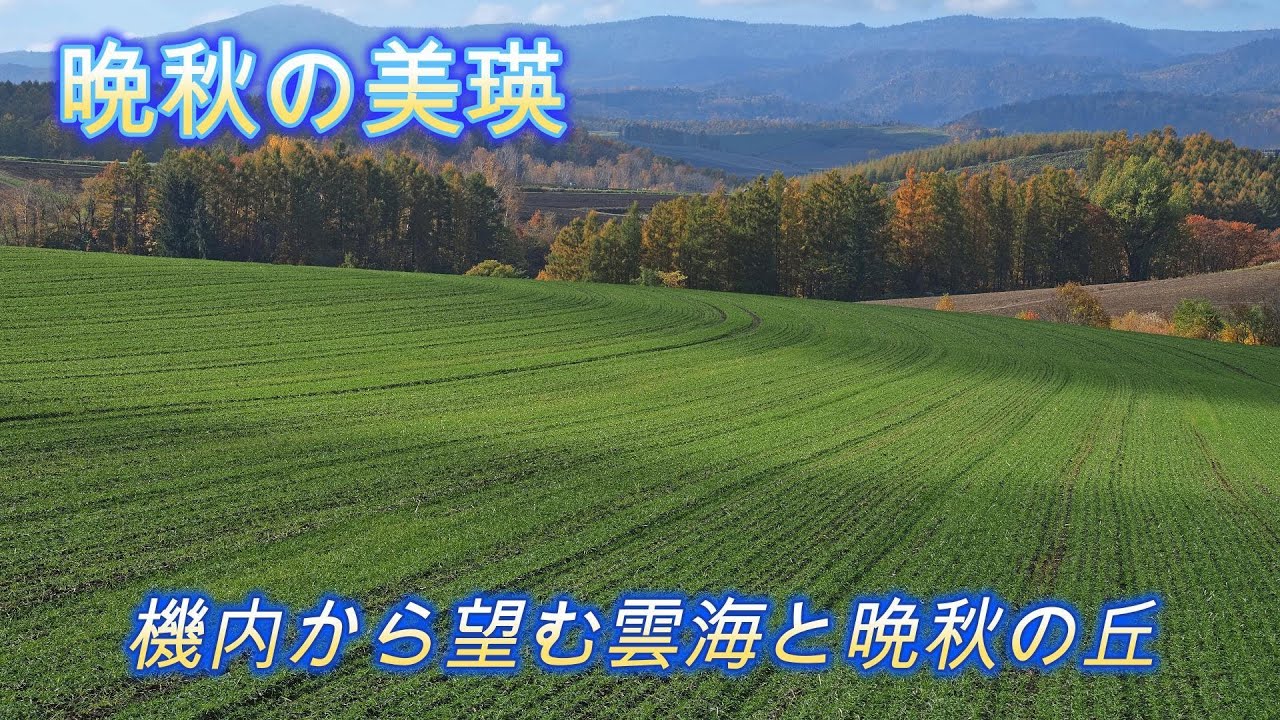 美瑛の丘をめぐる旅～2023晩秋編～初日（前編）