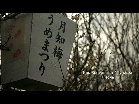 【4K】Rediscover the Miyazaki-宮崎県 高岡町 月知梅-2016.2.20 Panasonic LUMIX DMC G7.【スタビライザー】【FLYCAM C5】