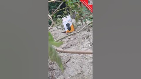 A4TECH OP-620D 2X CLICK OPTICAL MOUSE NATURAL LOOKING