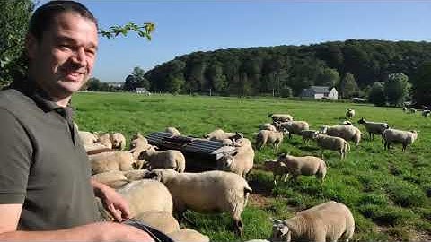 SLACHTERIJ-SLAGERIJ VANDE WALLE - Kluisbergen