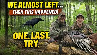 HOURS OF CHASING HENNED-UP GOBBLERS