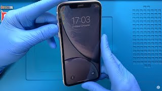 картинка: Замена экрана iPhone Xr