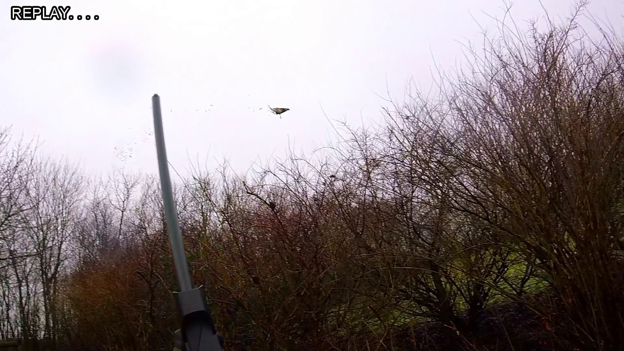 Hunting - Denmark - 2017 - 2 foxes in under 1 minute!