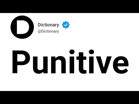Punitive Meaning In