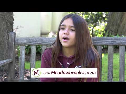 The Meadowbrook School