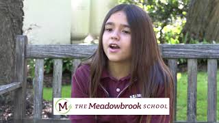 The Meadowbrook School