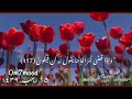 بد يع الس م او ات و ال أ ر ض و إ ذ ا ق ض ى أ م ر ا ف إ ن م ا يقول له ك ن ف ي ك ون 117 البقرة