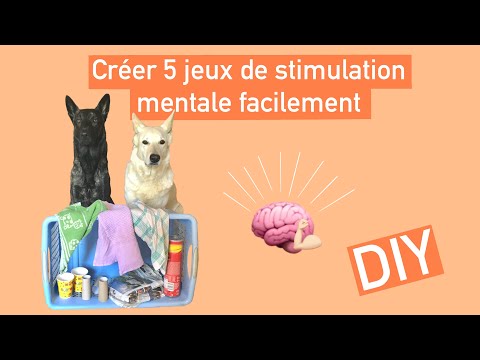 Vidéo: 5 Façons Uniques De Fournir Une Stimulation Mentale Après Une Chirurgie Canine