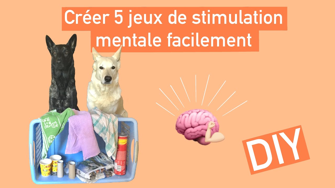 Cahier de jeux de stimulation cognitive