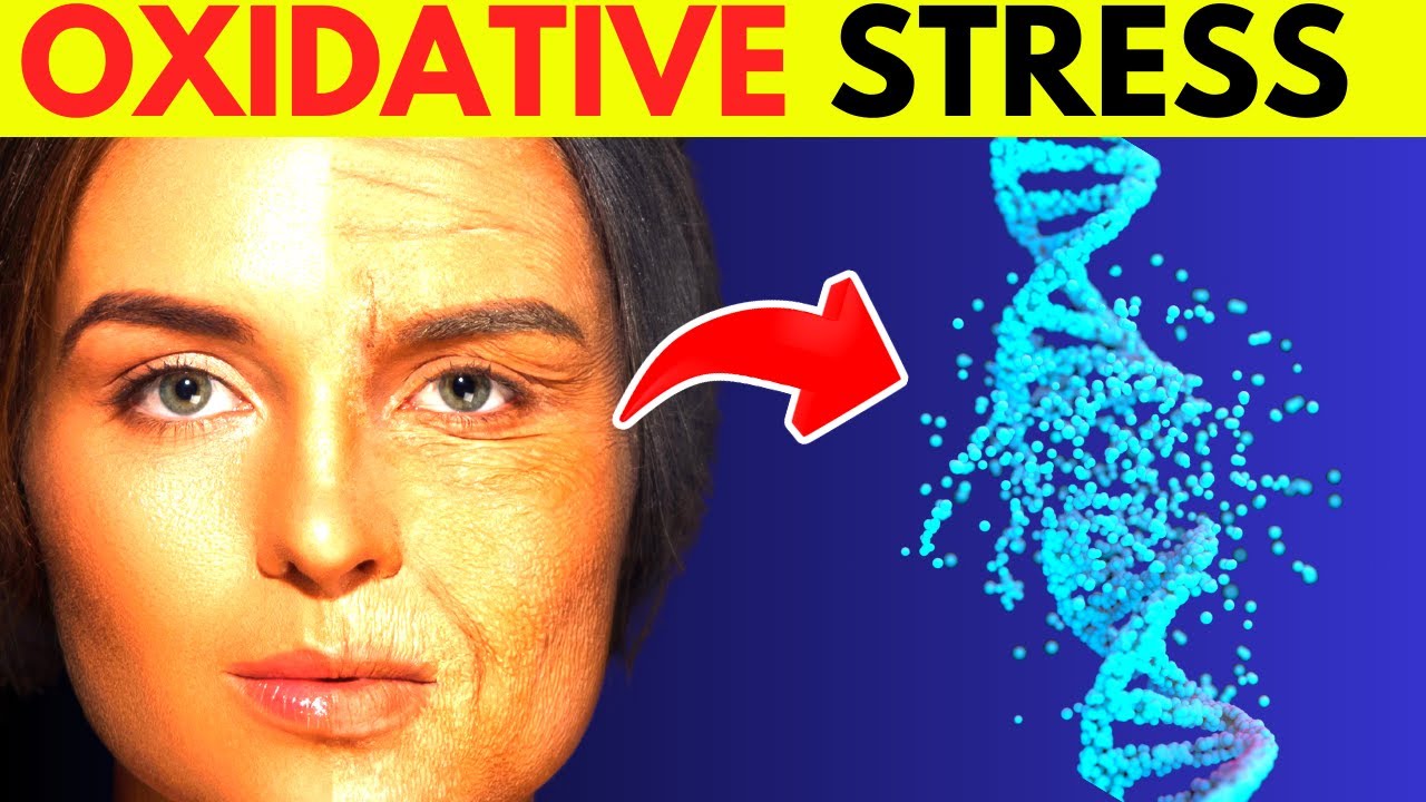 Reverse Aging And Look Younger By Battling Oxidative Stress - YouTube