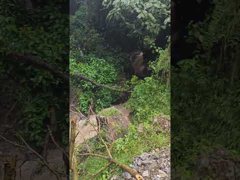 Himachal Pradesh Floods 2025 Shocking Visuals 2025 Himachal Flood Solan