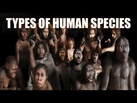 14 na ibat ibang Uri ng Tao | Different Types of Human Species